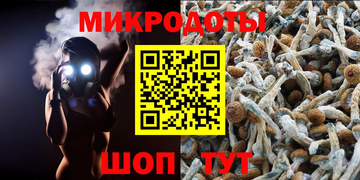 Псилоцибиновые грибы MAGIC MUSHROOMS Волжский