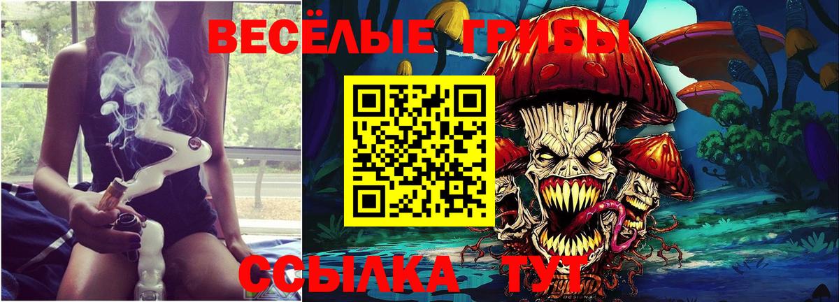 Псилоцибиновые грибы Psilocybe  Вход с VPN  Волжский 